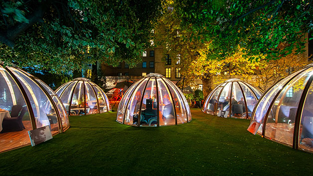 Afternoon Tea with Champagne for Two in The Domes At London Secret Garden Kensington 1 Afternoon Tea with Champagne for Two in The Domes At London Secret Garden Kensington