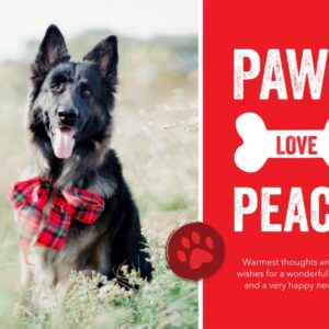 Paws Love Peace 8x6" (20x15cm) Flat Card set of 20 (gloss cardstock), rounded corners, Card & Stationery Red