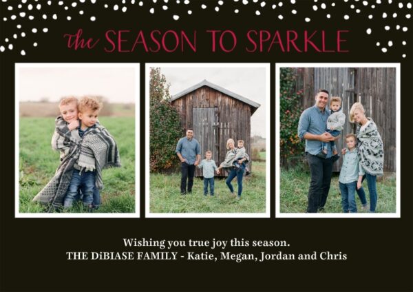 Season To Sparkle 8x6" (20x15cm) Flat Card set of 20 (gloss cardstock), rounded corners, Card & Stationery Black