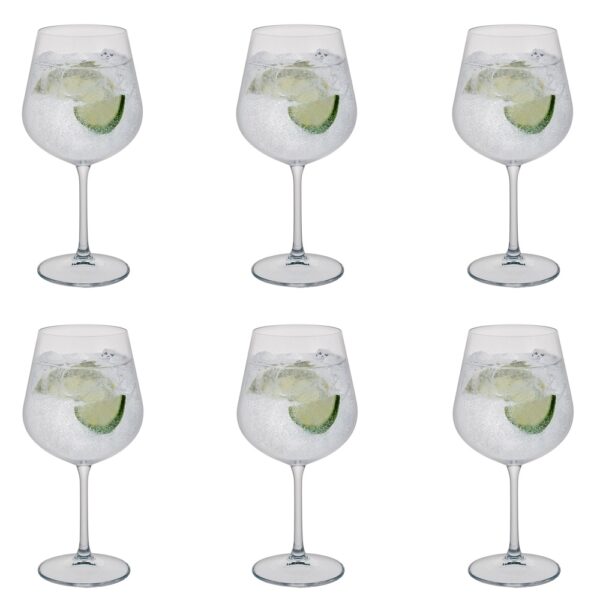 Select Gin Copa 6 Pack
